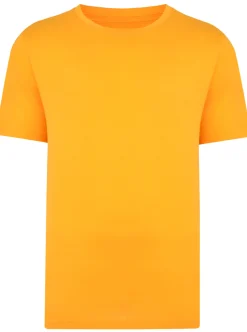 Online Bigdude Plain Crew Neck T-Shirt Orange T-shirts