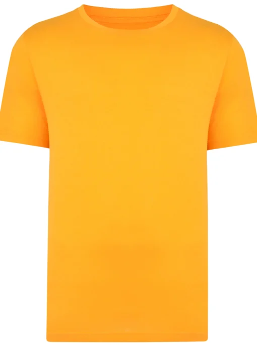 Online Bigdude Plain Crew Neck T-Shirt Orange T-shirts